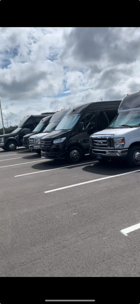 Skyline Limousine party buses and shuttle fleet lined up in Tampa, Florida