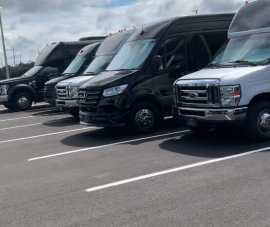Skyline Limousine party buses and shuttle fleet lined up in Tampa, Florida