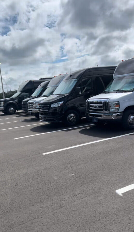 Skyline Limousine party buses and shuttle fleet lined up in Tampa, Florida