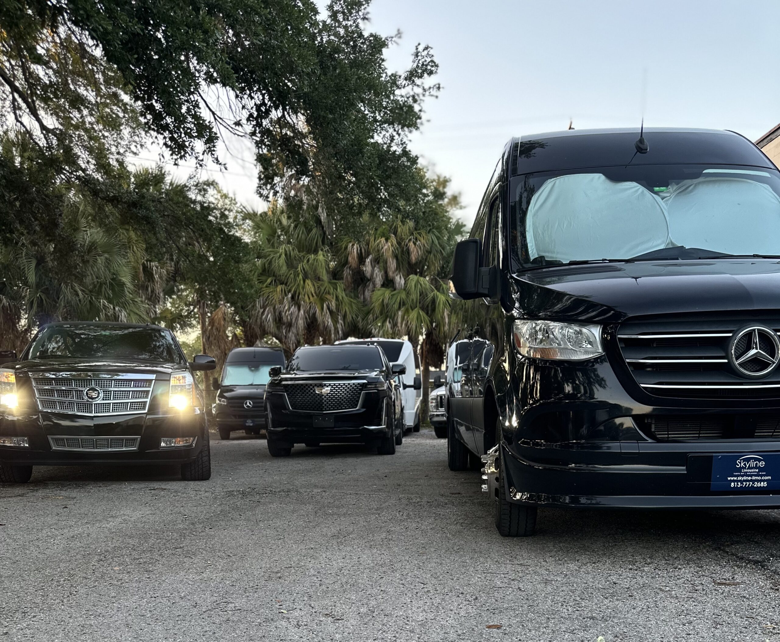Skyline Limousine vehicles at their lot
