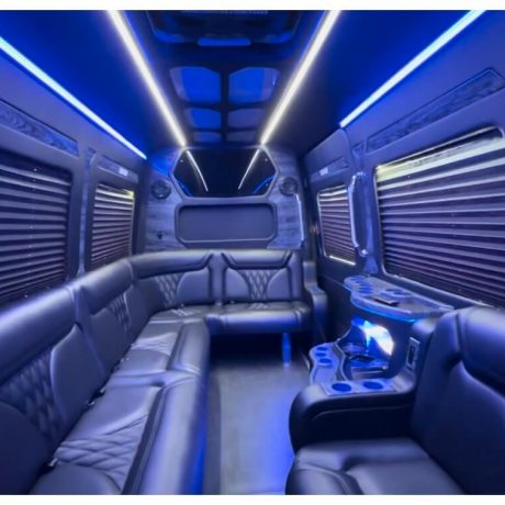 Grech Mercedes Sprinter party bus 14 passenger photo